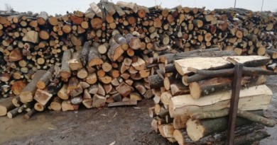 lemn-de-foc1