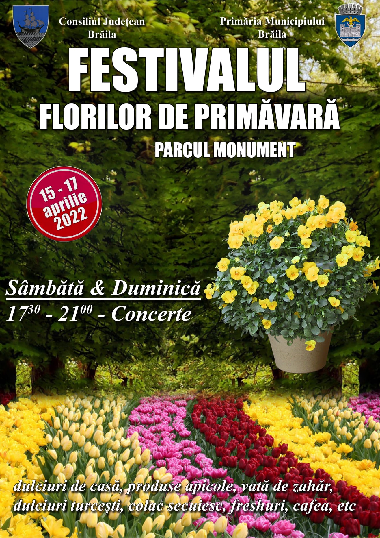 Festival Flori