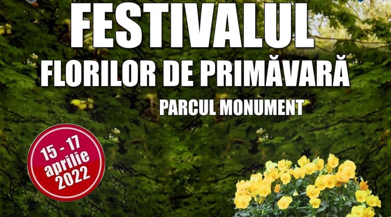 Festival Flori1