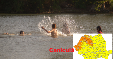 canicula11